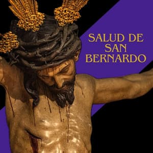 Portada de «Salud de San Bernardo»